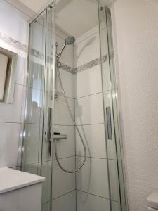a shower with a glass door in a bathroom at Joli T2 Centre port résidence Quai d'Honneur in Cap d'Agde