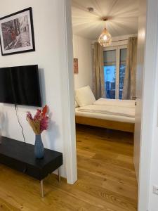 - une chambre avec un lit et une télévision dans l'établissement Modern apartment with garden near city center, à Vienne