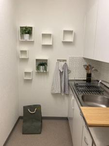 a small kitchen with a sink and a stove at Gemütliche Wohnung Nähe Rhein in Basel