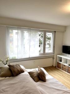 1 dormitorio con 1 cama grande y 2 almohadas en Gemütliche Wohnung Nähe Rhein, en Basilea