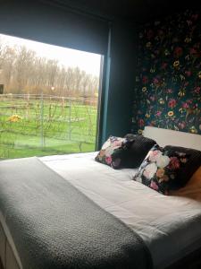 Cama en habitación con ventana grande en Life Contains Beautiful Things, en Almere