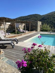 una piscina con terraza y flores púrpuras en Chambres d'hôtes et studios de charme - A Mandria, en Murato