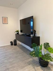 a living room with a tv and a potted plant at Lovely 2 bedroom condo in Reykjavík