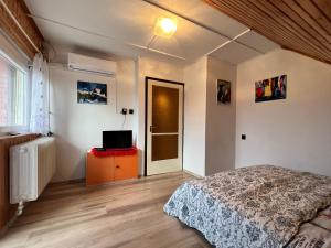 1 dormitorio con 1 cama y mesa con TV en A Festő Vendégháza / The Painter's Guest House, en Zánka