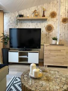 Μια τηλεόραση ή/και κέντρο ψυχαγωγίας στο Acogedor Ático en Cantavieja VUTE-23-026
