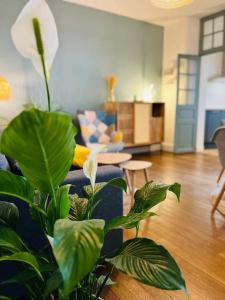 Fotografia z galérie ubytovania Appartement cosy bien placé v destinácii Châteauroux