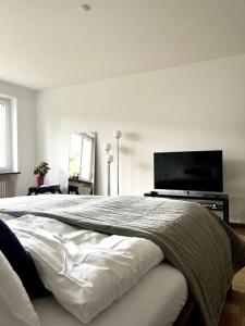 um quarto com uma cama grande e uma televisão de ecrã plano em Gemütliche Wohnung Nähe Uni em Basileia
