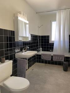 a bathroom with a toilet and a sink and a shower at Gemütliche Wohnung Nähe Uni in Basel