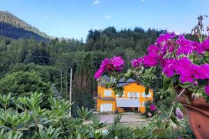 ein Haus mit lila Blumen davor in der Unterkunft Gîte forestier du Moulin (10 pers) in Raon-sur-Plaine