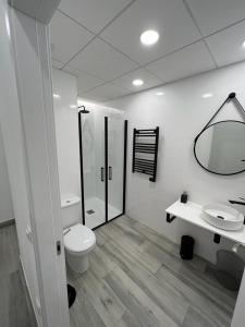 a bathroom with a toilet and a sink and a mirror at CH TANEZ CAROLINA a in Madrid +29 photos