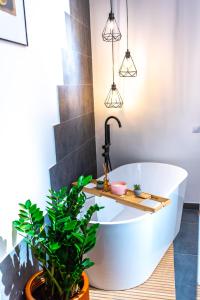 a bath tub in a bathroom with a plant at Thome Ego Flat in Cluj-Napoca