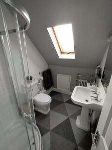a bathroom with a toilet and a sink and a shower at South View House in Waterlooville