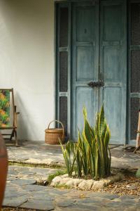 uma porta de uma casa com uma planta na frente dela em Ekaa Hotel em Palomino