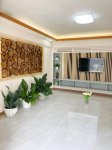 ein Wohnzimmer mit Topfpflanzen und einem Flachbild-TV in der Unterkunft Ba-lai homes in Baguio City