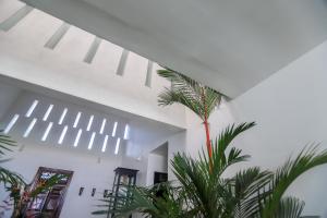 Fotografie z fotogalerie ubytování Bieshu Beach Hive v destinaci Habaraduwa Central