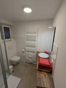 ein Bad mit einem WC und einem Waschbecken in der Unterkunft Haus Edelweiss Jungholz in Jungholz