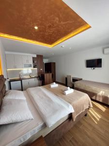 a bedroom with a large bed with a ceiling at Studio Enigma in Bajina Bašta