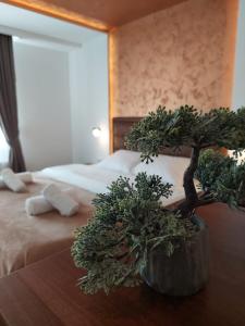 a bonsai tree sitting on a table next to a bed at Studio Enigma in Bajina Bašta