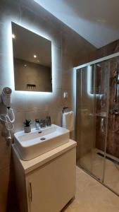 a bathroom with a sink and a shower with a mirror at Studio Enigma in Bajina Bašta