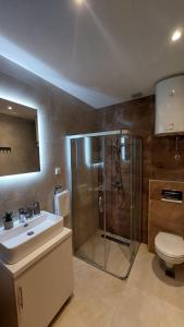 a bathroom with a shower and a sink and a toilet at Studio Enigma in Bajina Bašta