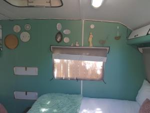 a bedroom with a bed and a blue wall with clocks at Oasis Shanti Backpackers in Oudtshoorn