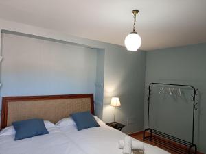 sypialnia z łóżkiem z 2 niebieskimi poduszkami w obiekcie Casa Rural Casa Sagasta w mieście Elche de la Sierra