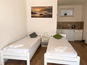 Kuchyň nebo kuchyňský kout v ubytování Studio apartmani Alex Doll