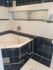 Gallery image of Golden Sun (3-х кім. Апартамент 7 км від Берегова) in Beregi