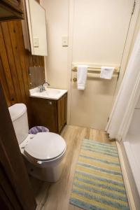 a bathroom with a toilet and a sink and a rug at Endless Summer in Carolina Beach