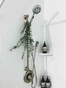 a shower with a plant in the corner of a bathroom at Vitamin Sea in Carolina Beach