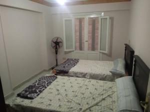 um quarto com 2 camas e uma ventoinha em Entire Cozy Apartment - Miami near borevag beach em Alexandria