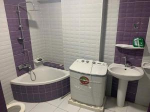 uma casa de banho com um lavatório, uma banheira e um WC. em Entire Cozy Apartment - Miami near borevag beach em Alexandria