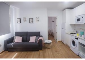 - un salon avec un canapé et un lave-linge dans l'établissement Apartamento Felisa A, à San Vicente de la Barquera