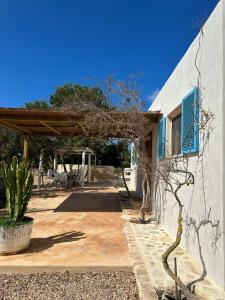 a patio of a house with a cactus at Casa Rustick in Sant Francesc Xavier