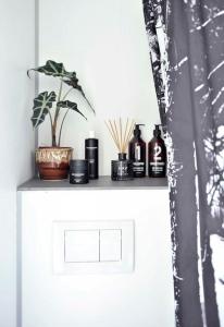 a shelf with bottles and a potted plant on it at Villa Hegge - Design Cabin with fab view in Sjøvegan