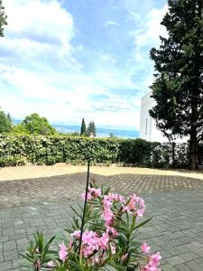 een boeket roze bloemen voor een gebouw bij Villa Marija in Opatija