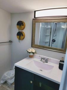 een badkamer met een wastafel en een spiegel bij No Chores, house with private parking, yard in West Seneca