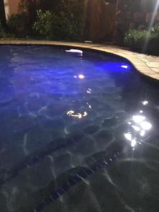 una piscina con luces azules. en at 22 Symmonds, en Melmoth
