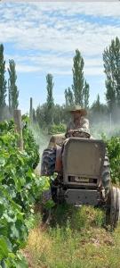 un homme conduisant un tracteur dans un champ dans l'établissement La Pausa, Departamentos y Casas, à Chacras de Coria