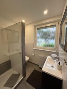 een badkamer met een douche, een wastafel en een toilet bij Ferienhaus Hildchen an der Osterheide in Schneverdingen