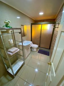 a bathroom with a shower and a toilet and a sink at Alojamiento RBOY Las Mariposas in Chillán