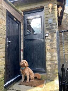 a brown dog sitting in front of a door at Unique Victorian stable conversion Halifax in Halifax