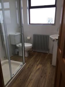 a bathroom with a toilet and a sink and a window at Comfy Cottage in Ballymena