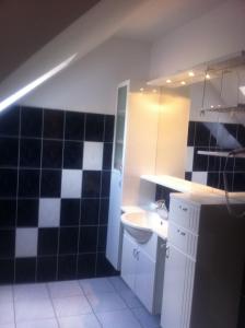 a bathroom with a black and white tiled wall at Hotel & Waldrestaurant Johannesruh in Wesenberg