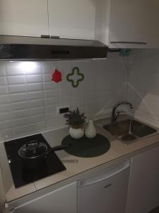 Kuchyň nebo kuchyňský kout v ubytování Borgo Fiore House