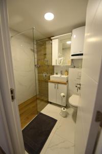 La salle de bains est pourvue d'une douche, de toilettes et d'un lavabo. dans l'établissement BEL GALLERIES ( Karadjordjeva street ), à Sajmište