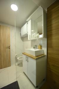 La salle de bains est pourvue d'un lavabo blanc et de toilettes. dans l'établissement BEL GALLERIES ( Karadjordjeva street ), à Sajmište