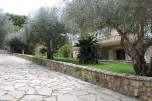 a stone path in front of a house with olive trees at Άνεση και ήρεμία in Oropos