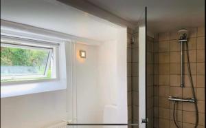een badkamer met een douche en een raam bij Danish villa with a lovely garden & close to Copenhagen in Gentofte