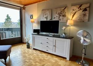 een woonkamer met een flatscreen-tv en een ventilator bij Ferienwohnung Weitblick am Kurpark in Braunlage